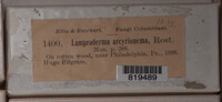 Image Associated With the Occurence
